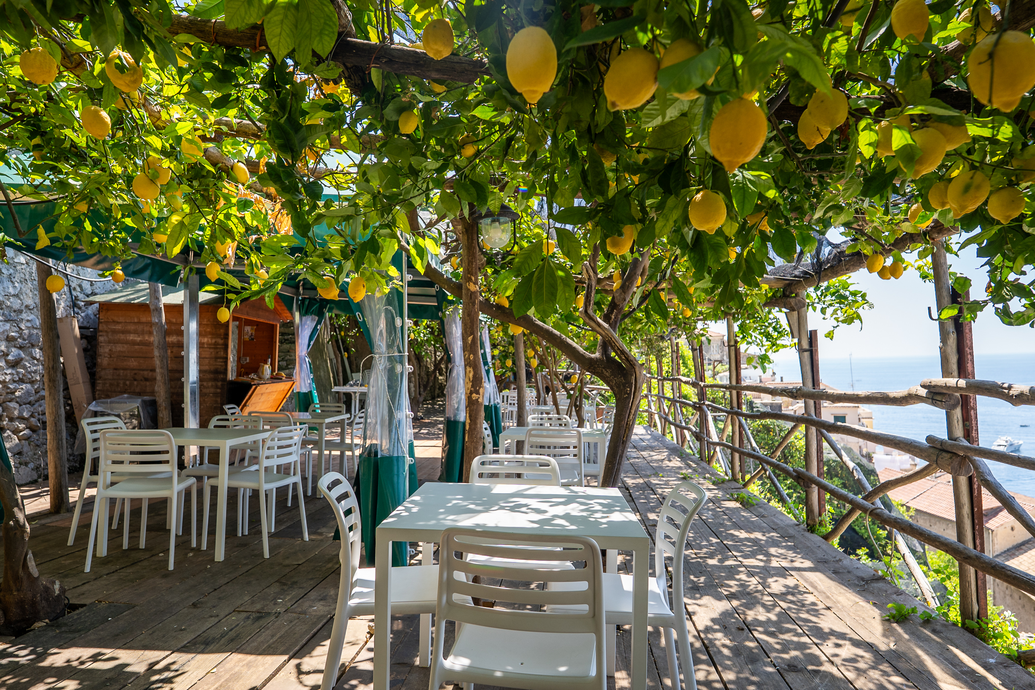 Amalfi Lemon Tour at the Monumental Garden - Image 5