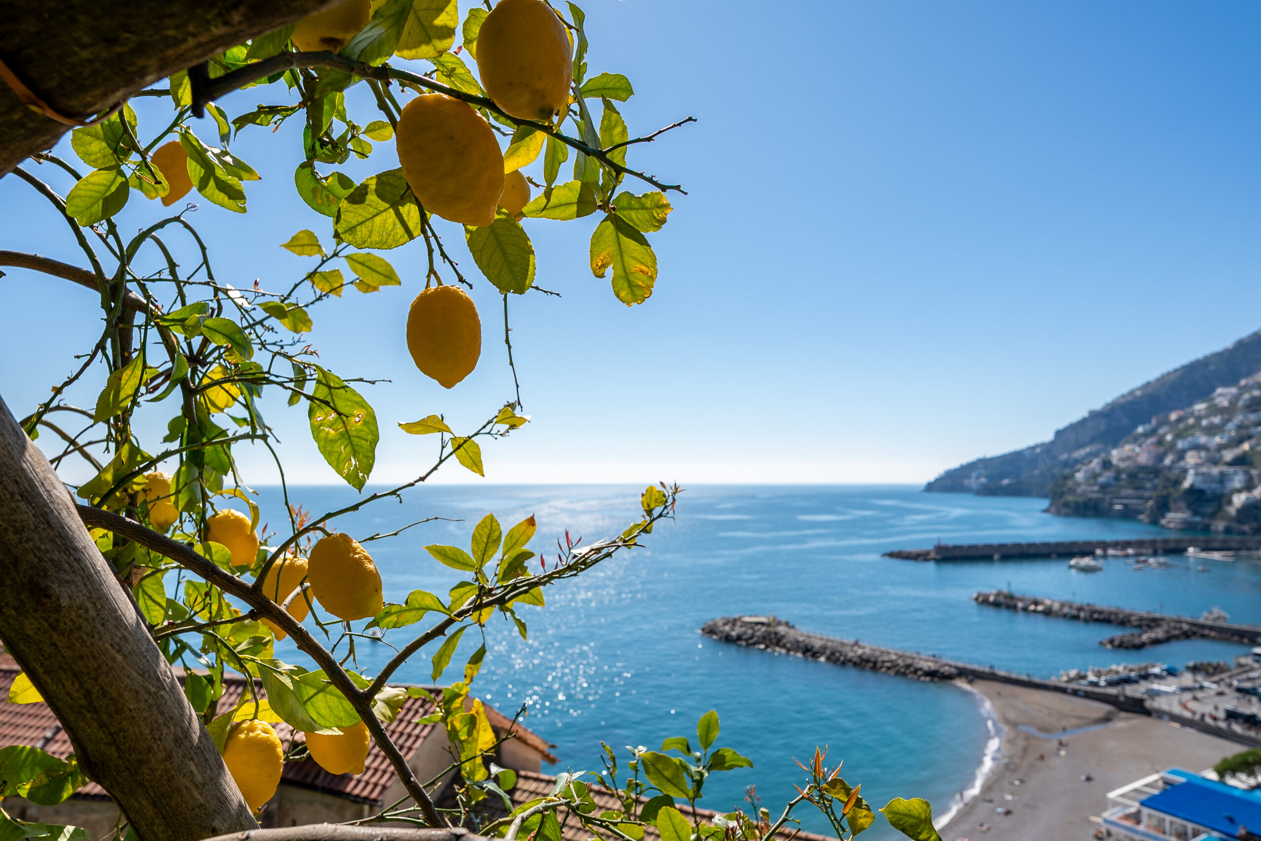 Amalfi Lemon Tour at the Monumental Garden - Image 6