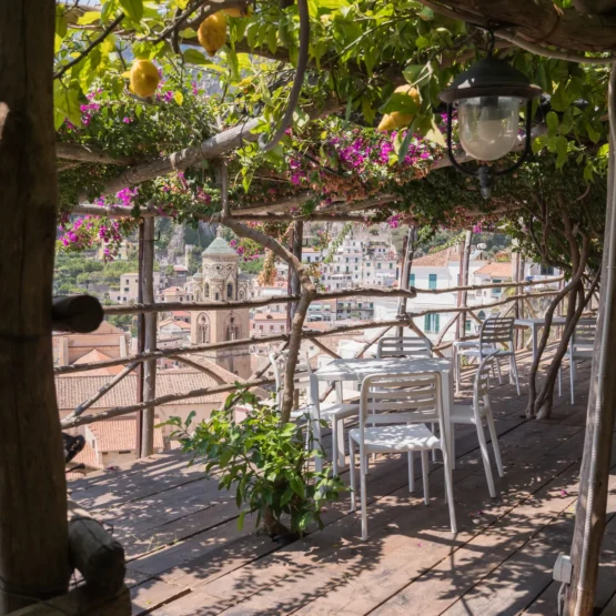 Monumental Garden Tour + Aperitif