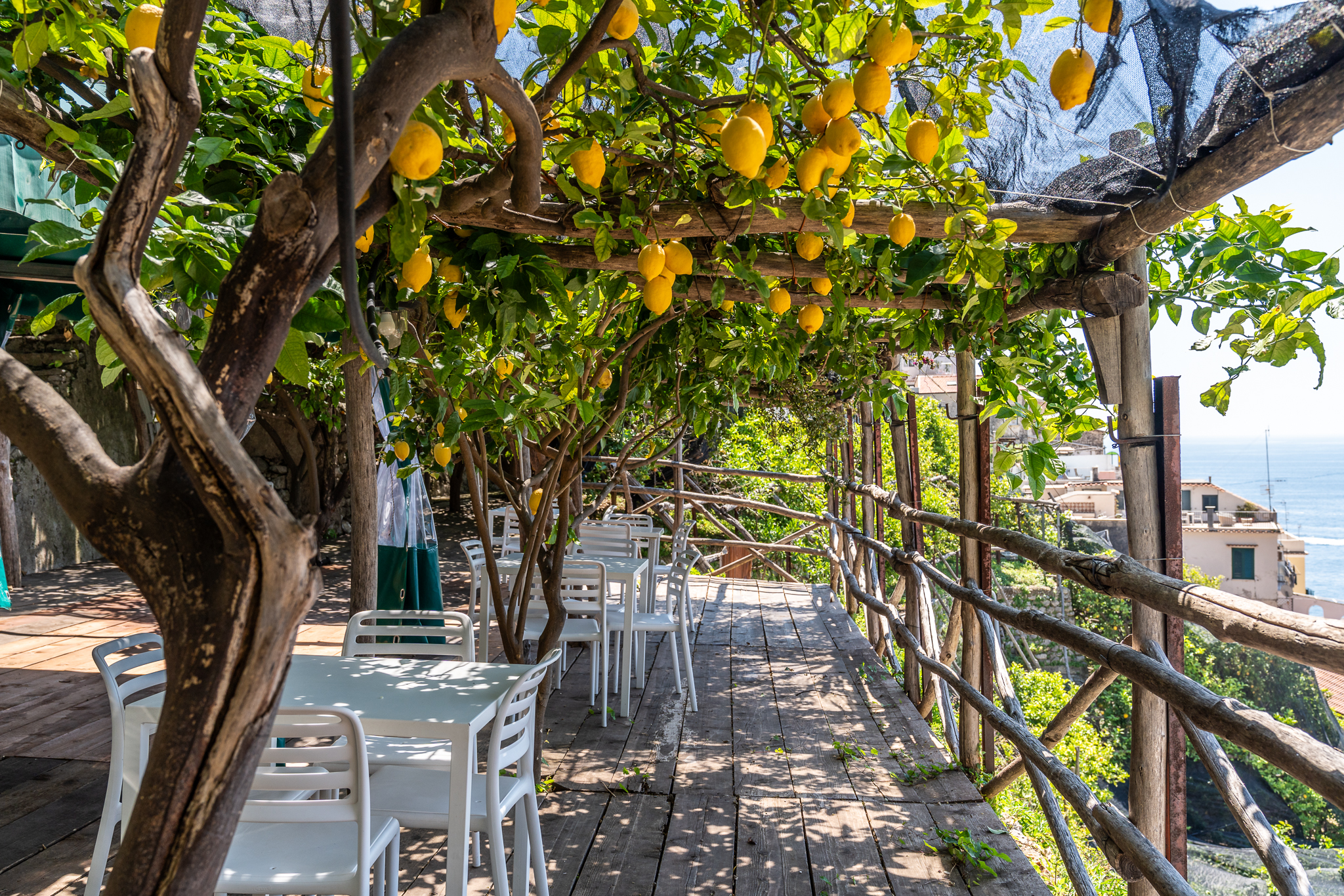 Monumental Garden Tour + Aperitif - Image 5